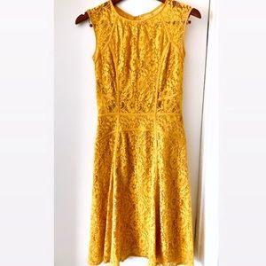 BCBG yellow lace cocktail dress